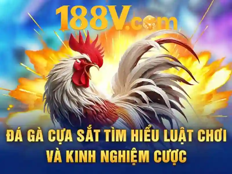 Hỗ Trợ 188V