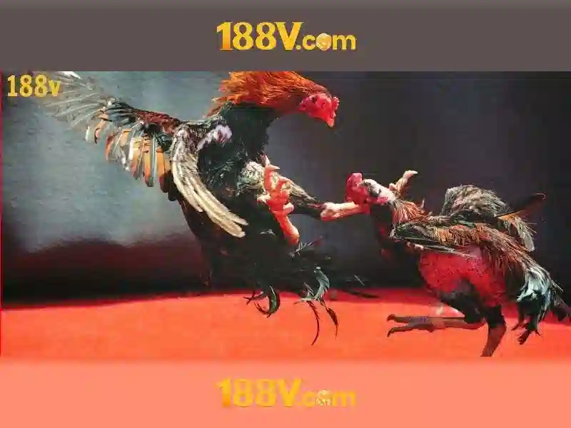 Quyền Riêng Tư 188V
