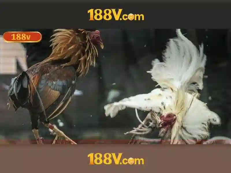 Khuyến Mãi 188v No Hu