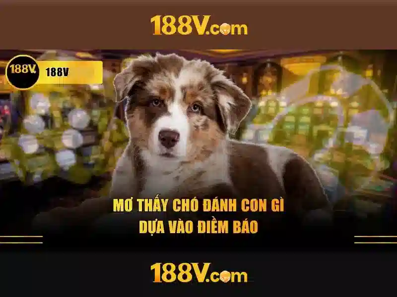 Đánh Giá 188v