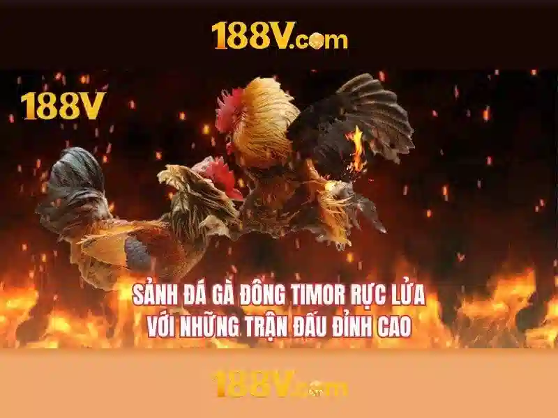Trải Nghiệm Đa Dạng, Tương Tác Cao