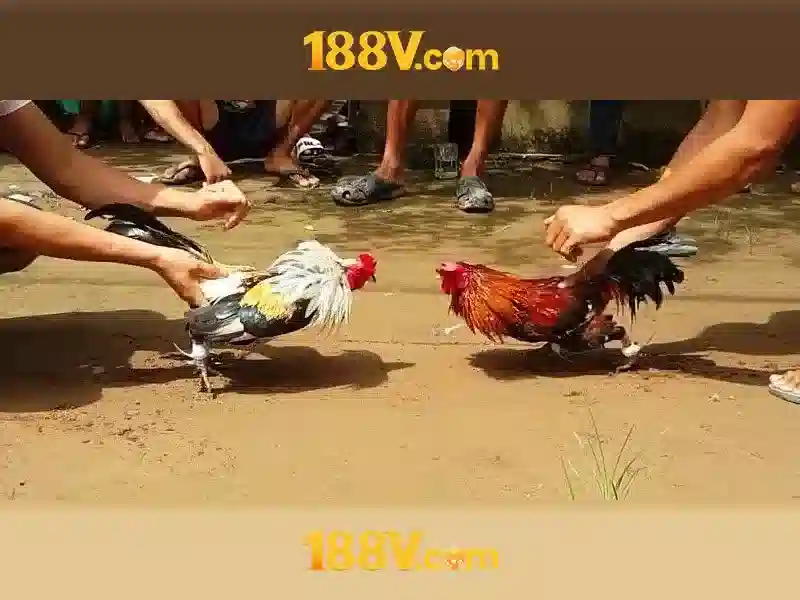 Hướng Dẫn Đăng Nhập 188V