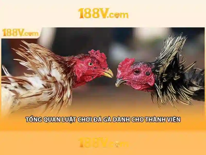 Quyền Riêng Tư 188V