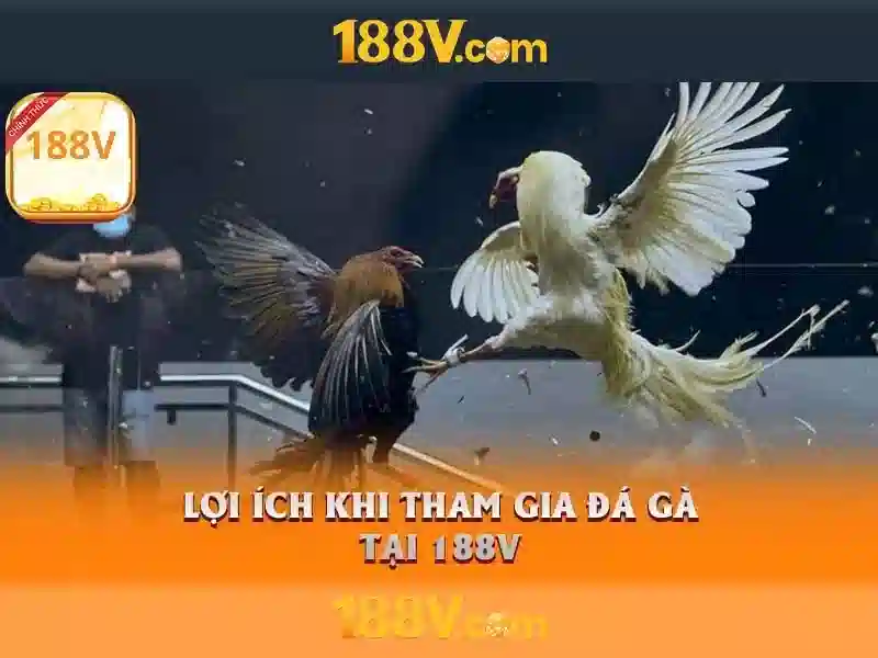 188V – Giftcode 188v Ưu Đãi Mới Nhất Cho Người Chơi Slot 2026