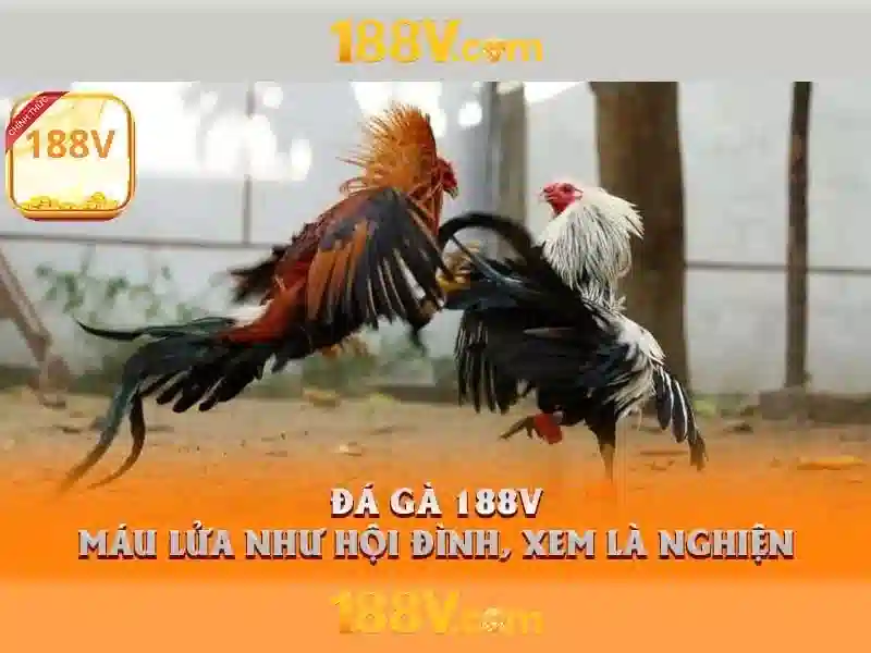 Trải nghiệm Slot đỉnh cao