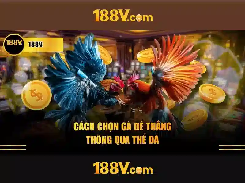 đăng ký 188v – Hệ thống hỗ trợ chuyên nghiệp và dịch vụ đăng ký 188v vượt trội 2026