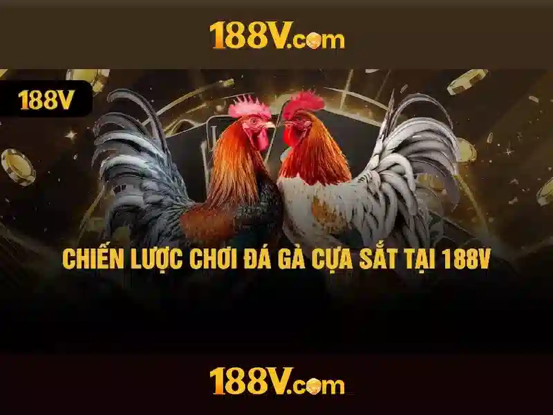 Ưu Đãi Đặc Biệt Cho Thành Viên 188V