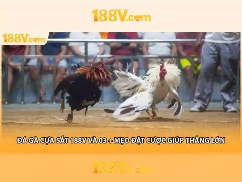 Chương Trình 188v VIP