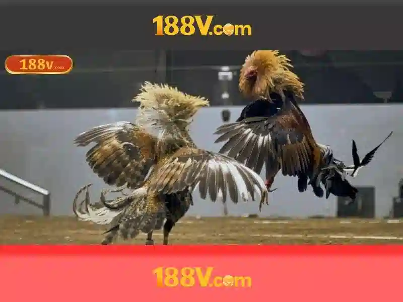 Bảo Mật Trò Chơi Slot