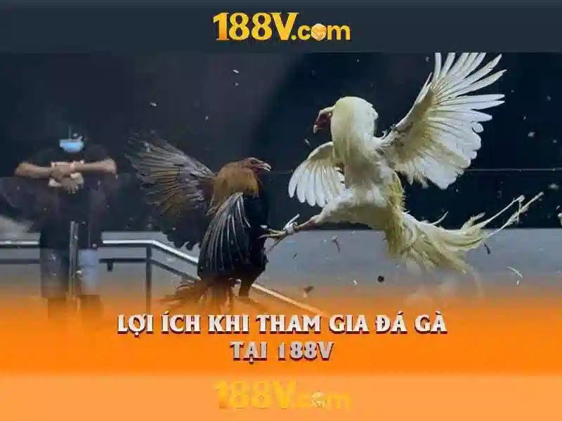 188V – Link Vào Trang Chủ 188V Chính Thức Không Bị Chặn 2026