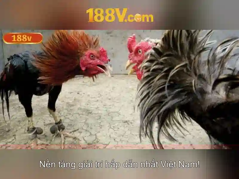 Trang Chủ 188V Chính Thức