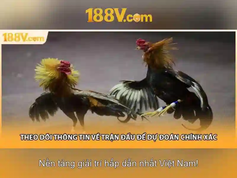 Kinh nghiệm chơi casino 188v