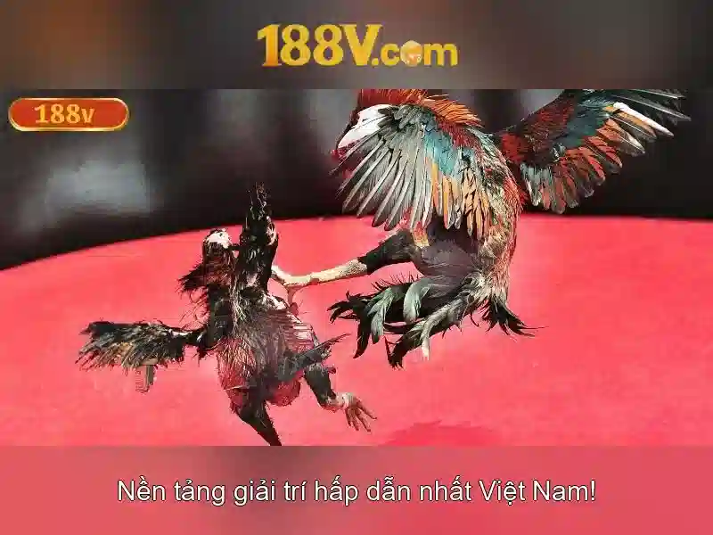 Trang Chủ 188V
