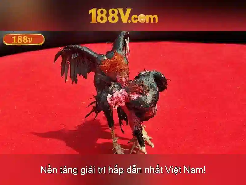 Thư Viện Slot 188V