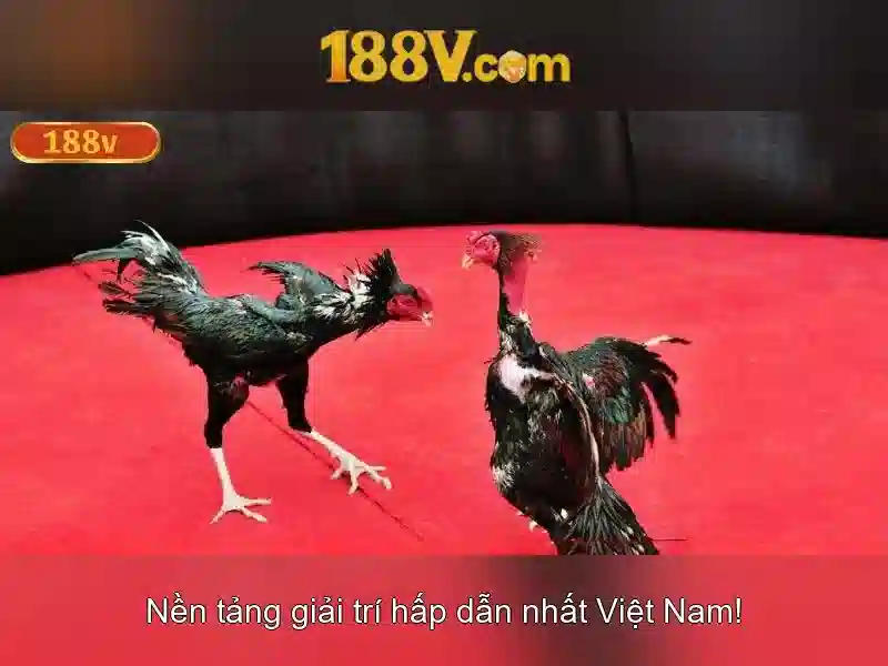 Tại Sao Nên Chọn 188V
