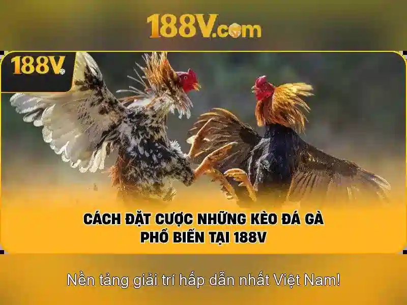 188V – Nhận Giftcode 188V Trang Chủ Chính Thức Không Bị Chặn 2026