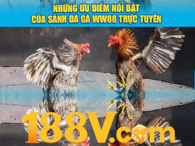 Giới Thiệu Trang Chủ Slot 188v